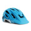 CAIPI_LIGHT20BLUE.jpg